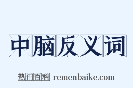 中脑反义词是什么意思的图片